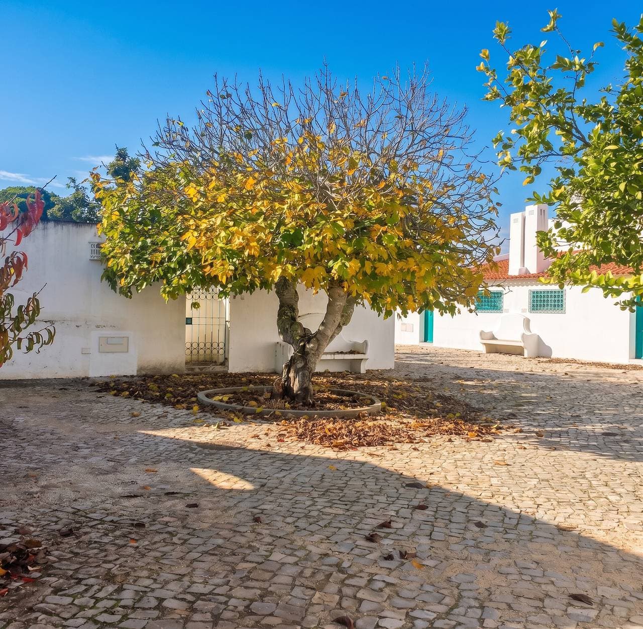 Foto 2 von 148: Helles Familienhaus in Alvor mit beeindruckender Meeresblick