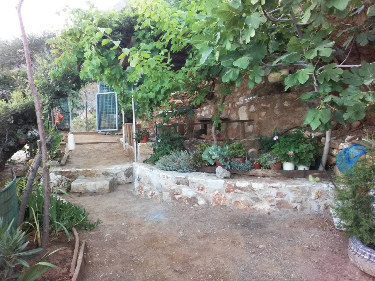 Foto 8 von 29: Apartment-ueber-dem-meer-privater-ort-zum-schwimmen