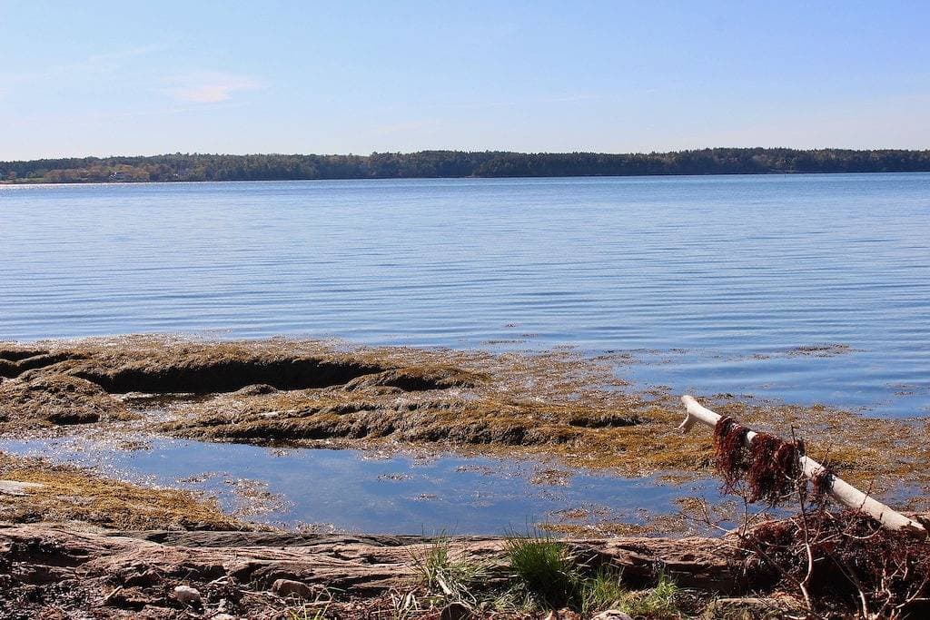 Foto 10 von 29: Waterfront Sommer Home mit Sea Breezes, Sonnenuntergänge, und Schwimmen von den Felsen