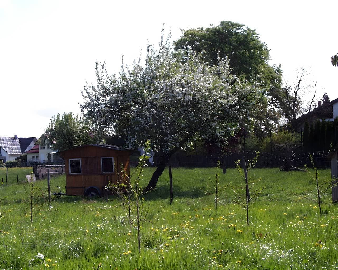 Foto 10 von 19: Ferienwohnung '1' mit Gemeinschaftsgarten, Balkon und Wi-Fi