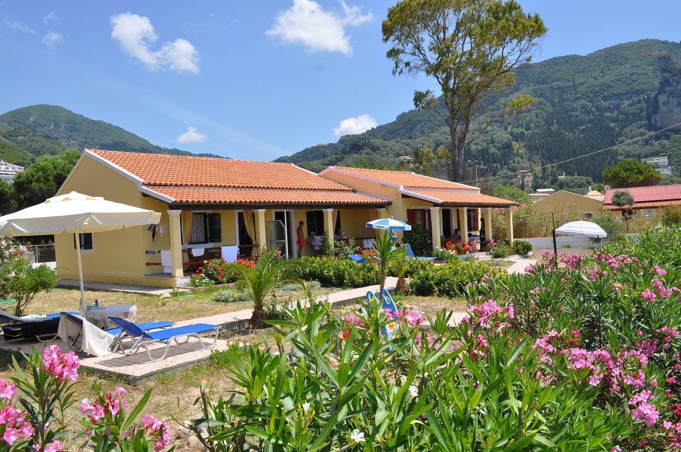 Foto 10 von 33: Strandhaus Eftichia am Agios Gordios Strand