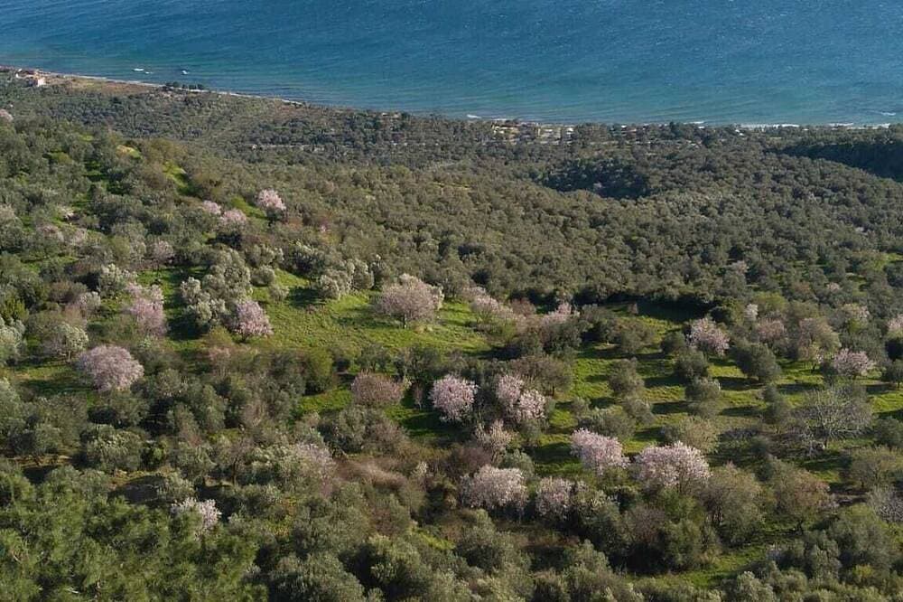 Foto 11 von 18: Merve Stone House Assos