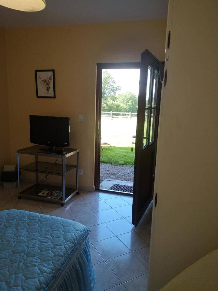 Foto 7 von 18: Standard Twin Room