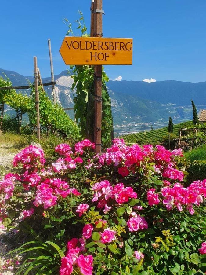 Voldersberghof 1