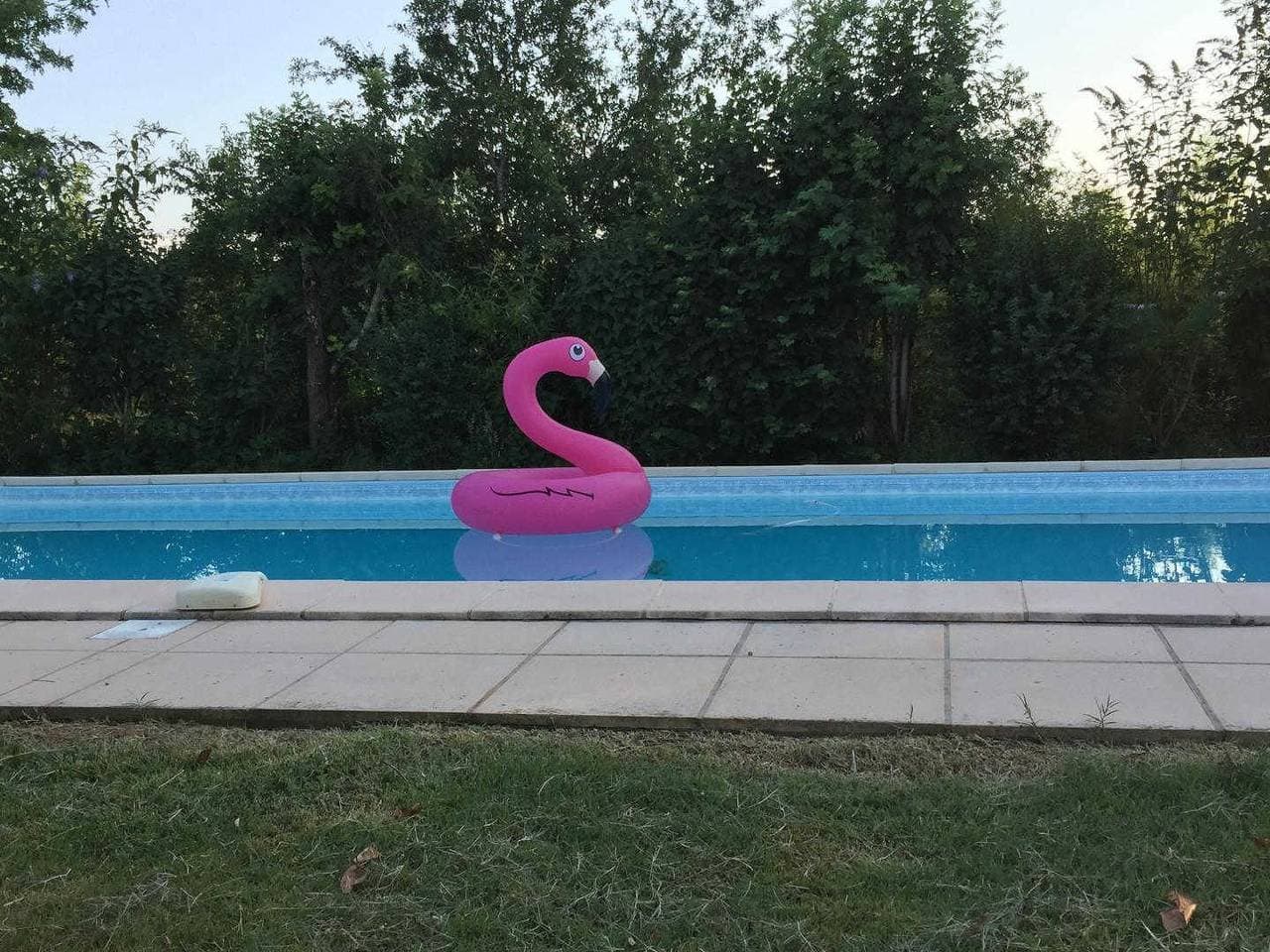 Foto 6 von 30: Le BrenSol