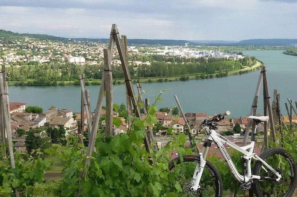 Foto 12 von 22: Die Ufer der Rhone