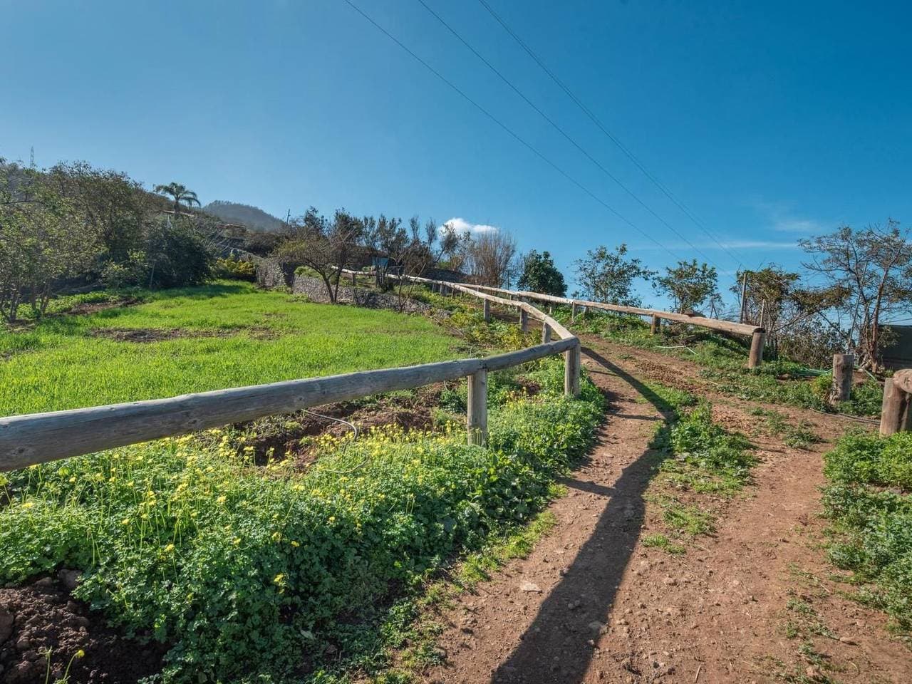 Foto 12 von 34: Finca "Sunny Scape Rural