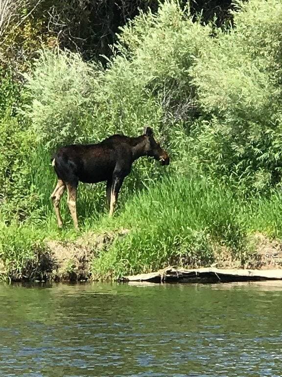 Foto 8 von 52: River Rest Luxury Cabin - The Beaverhead. Beautiful River and Mountain Views!!!