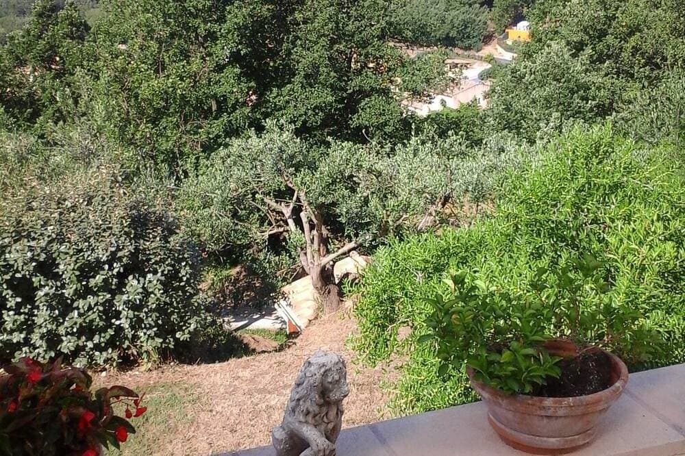 Foto 11 von 22: Frei stehende Villa in der Provence Landschaft zwischen Hyères und St. Tropez