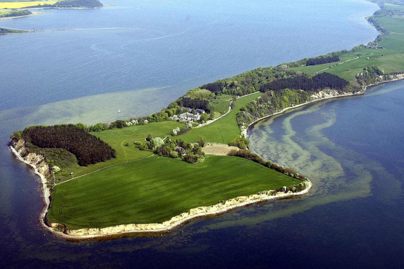 Reetdach Ferienhäuser Rügen 1