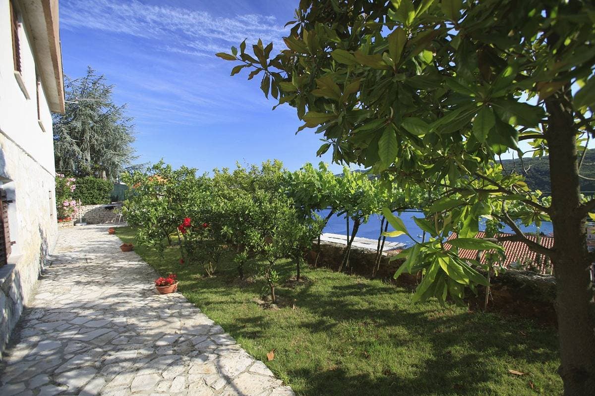 Foto 6 von 21: Studio Appartement mit Terrasse und Meerblick Rabac, Labin As-7622-a