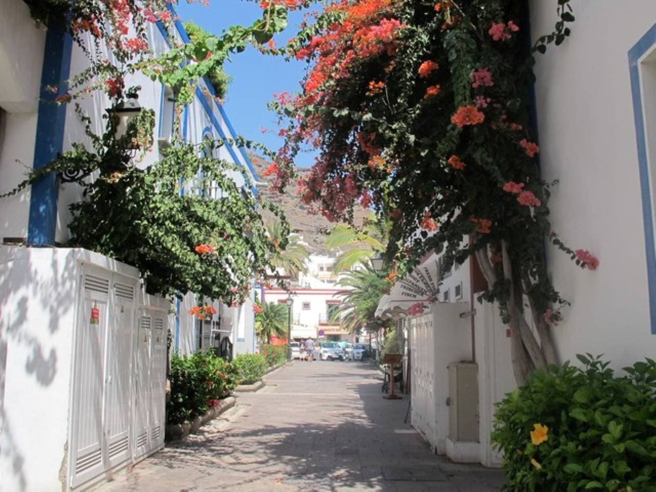 Foto 5 von 33: Hafen 332 in Puerto De Mogan bei El Sirocco