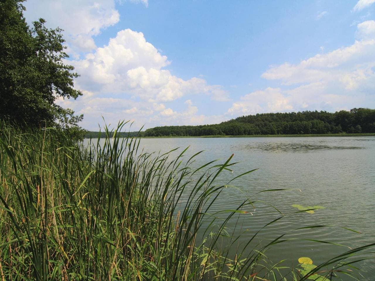 Foto 10 von 13: Blockhäuser am Fährsee, Templin