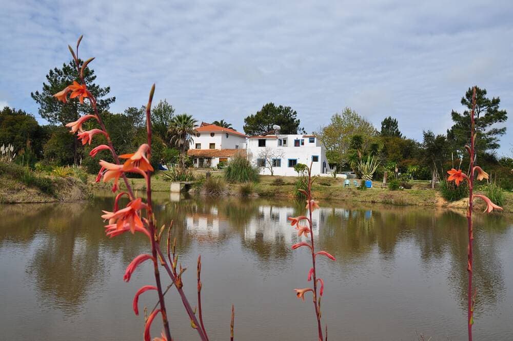 Foto 10 von 22: Quinta da Tosca,Rogil,Aljezur,Ehemaliger Bauernhof mit Apartments für 2-14 Pers