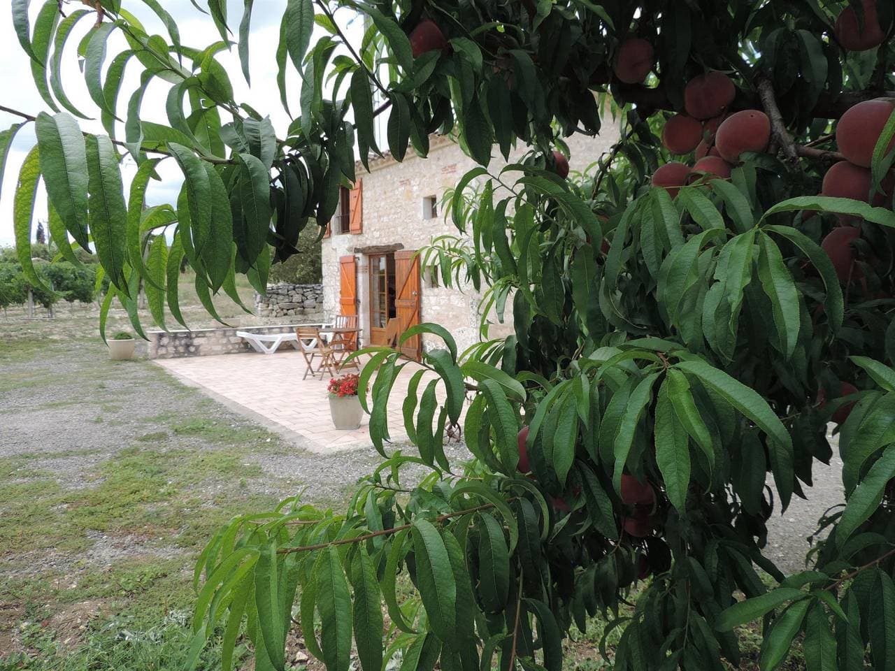Foto 7 von 26: La Cabane du Vigneron
