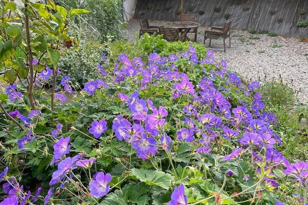 Foto 9 von 22: Freistehendes, 80 m² großes Einfamilienhaus im Küstenstil
