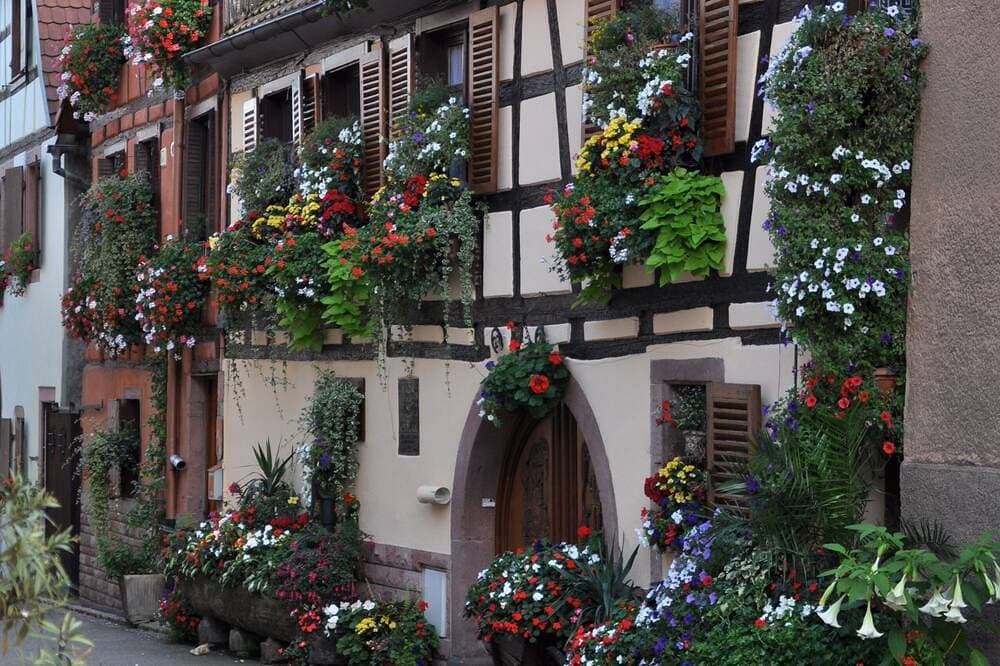 Foto 6 von 16: Typische Wohnung im alten Haus Wein