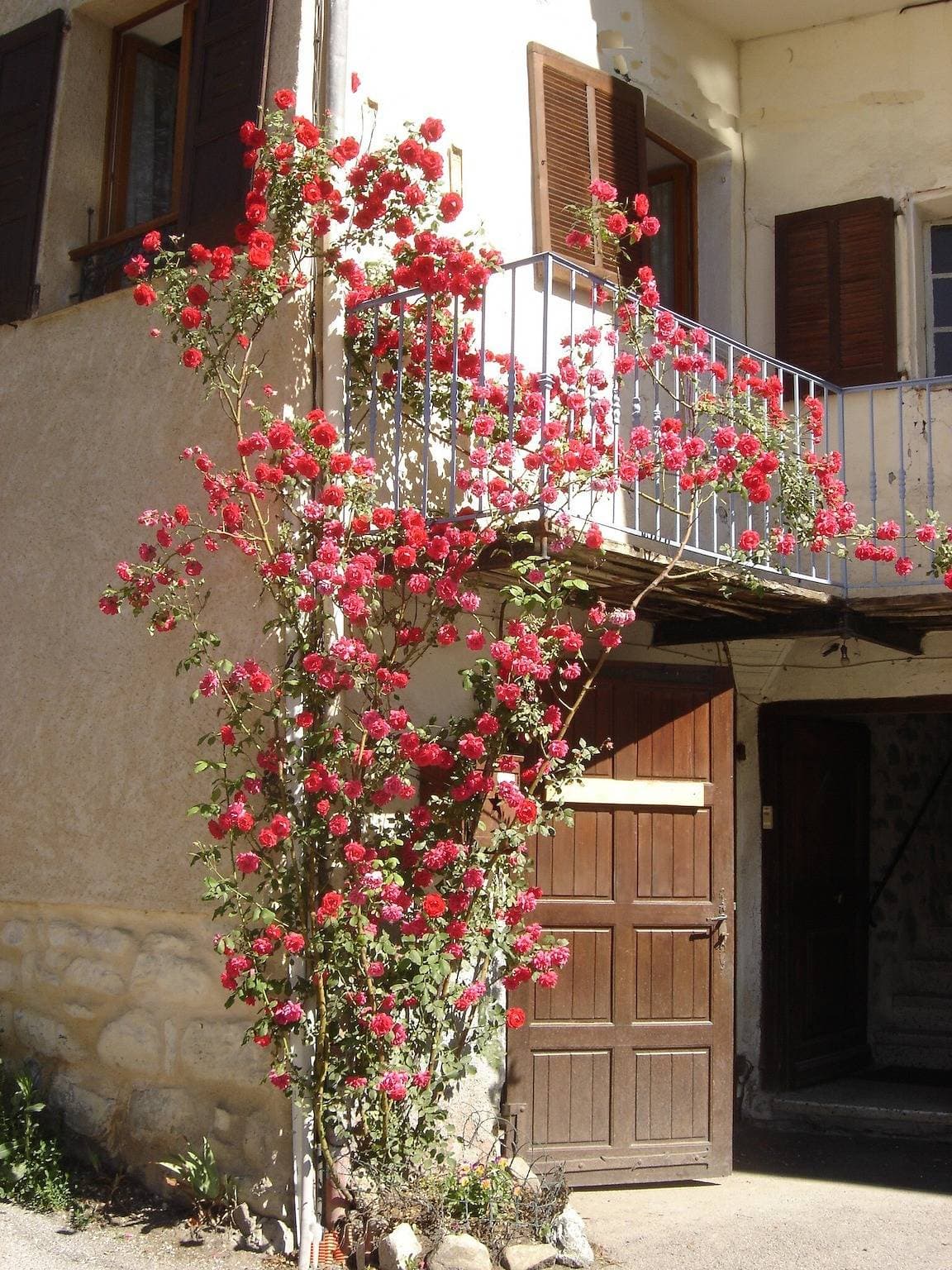 Foto 13 von 13: Gîte La Petite Cascade - Haut Verdon Val d'Allos