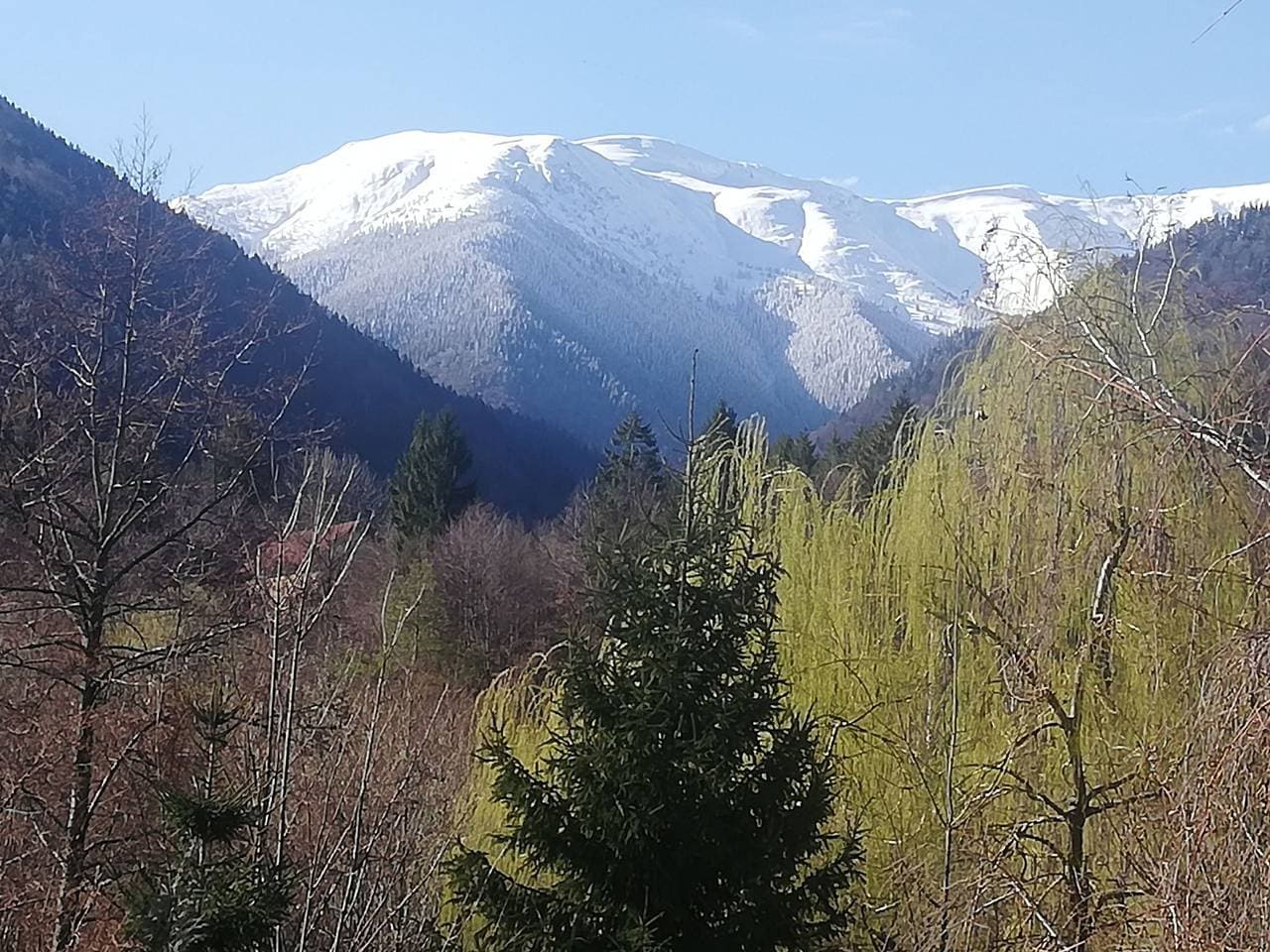 Foto 11 von 34: Vila Roberta Breaza Brasov