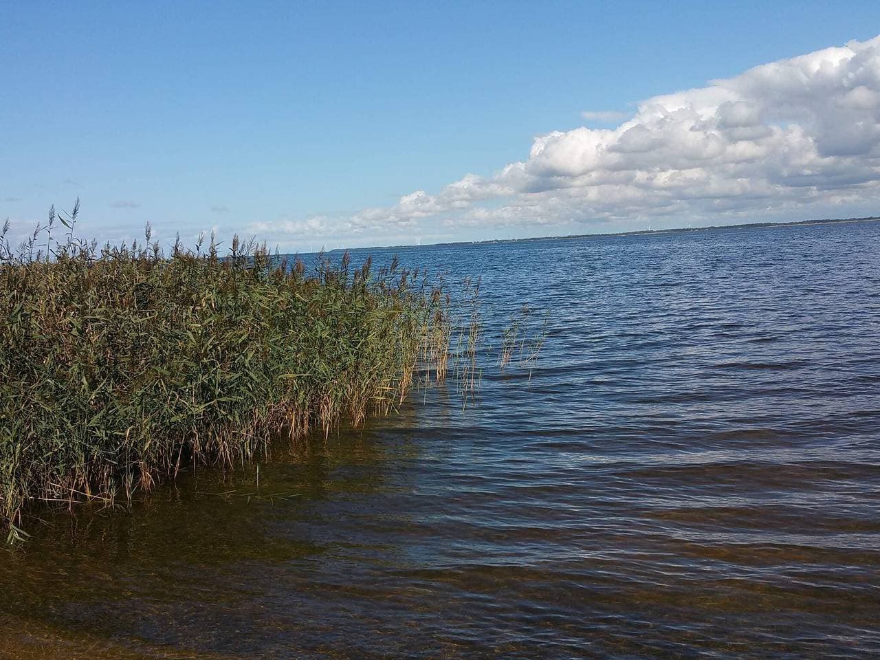 Foto 11 von 47: Idyllisches Naturrefugium