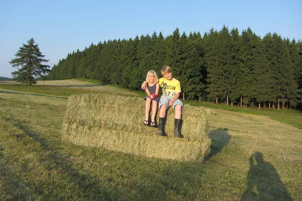 Foto 11 von 11: Fewo 4 - Ferienwohnug am Alten Forsthaus