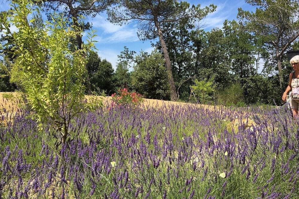 Foto 13 von 20: Modernes Holzhaus mit Pool auf großem ruhigem Grundstück.