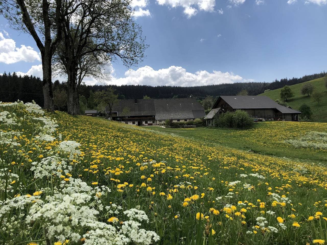 Zimmer 'Gästezimmer' mit privater Terrasse, Gemeinschaftsgarten und Wi-Fi