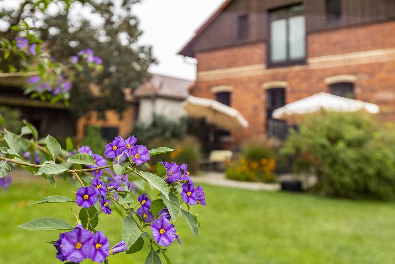 Foto 4 von 23: Premium Ferienwohnung 'Daube' mit Privatterrasse, Gemeinschaftsgarten und Wi-Fi