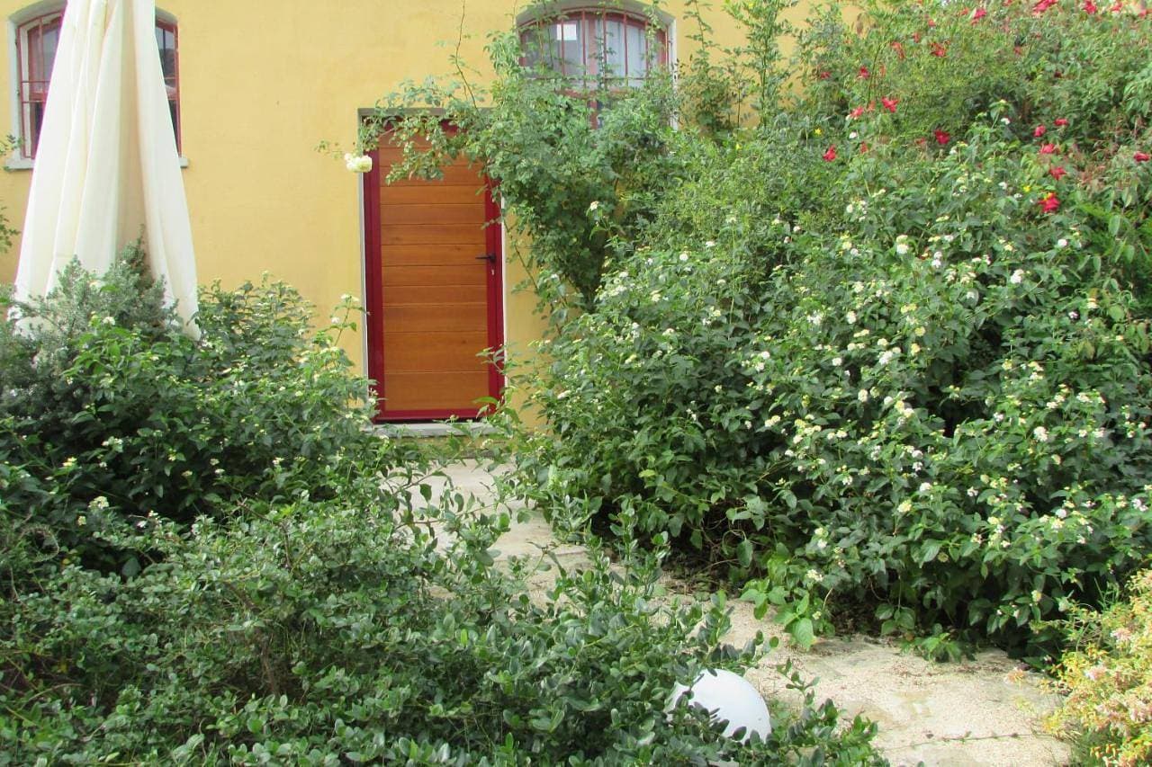 Foto 6 von 10: King Room with Garden View