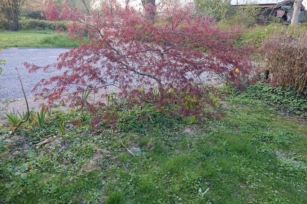 Foto 13 von 30: Landliebeehrsen 2,  modern, ruhig gelegen, Parkplatz.