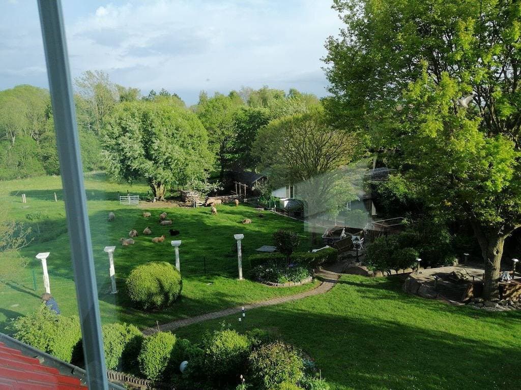 Foto 4 von 37: Ferienwohnung in Süsel mit Schwimmbecken