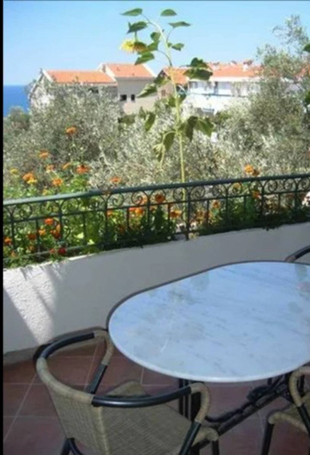Foto 8 von 31: Levantin Inn 1-3 Zimmer N9 Meerseite