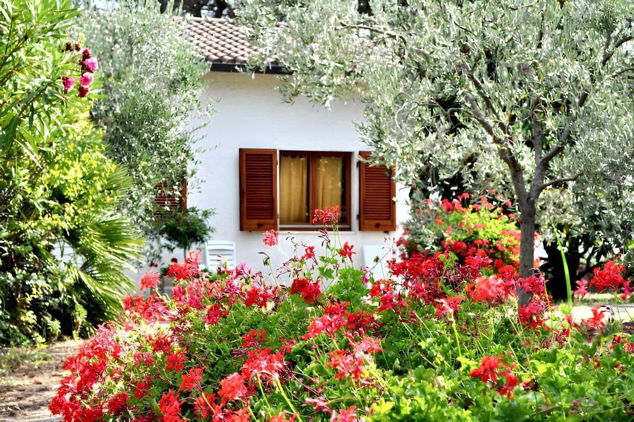 Charming House in Lacona + Garden 1