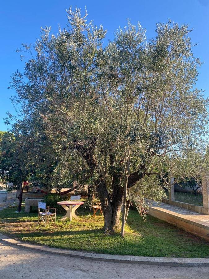 Foto 4 von 18: Double Room with Park View