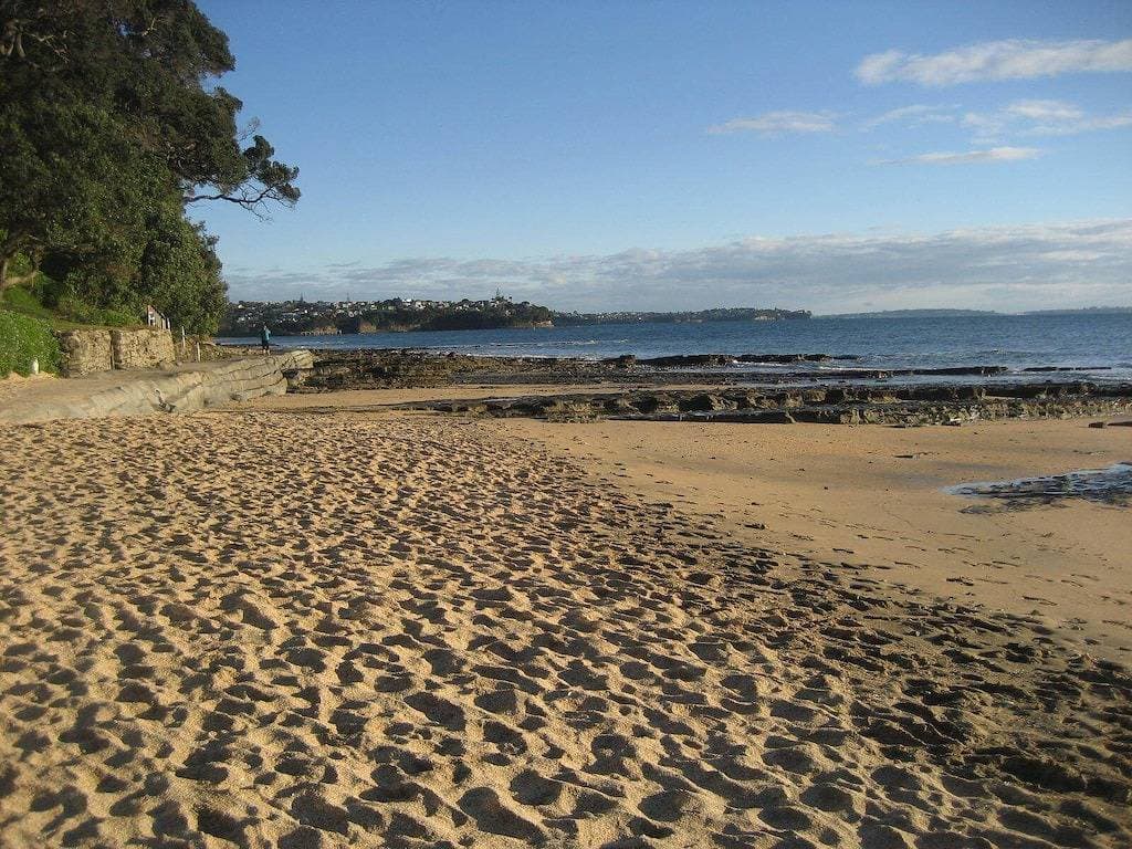 Foto 5 von 46: Küstenstudio in der schönen Mairangi Bay