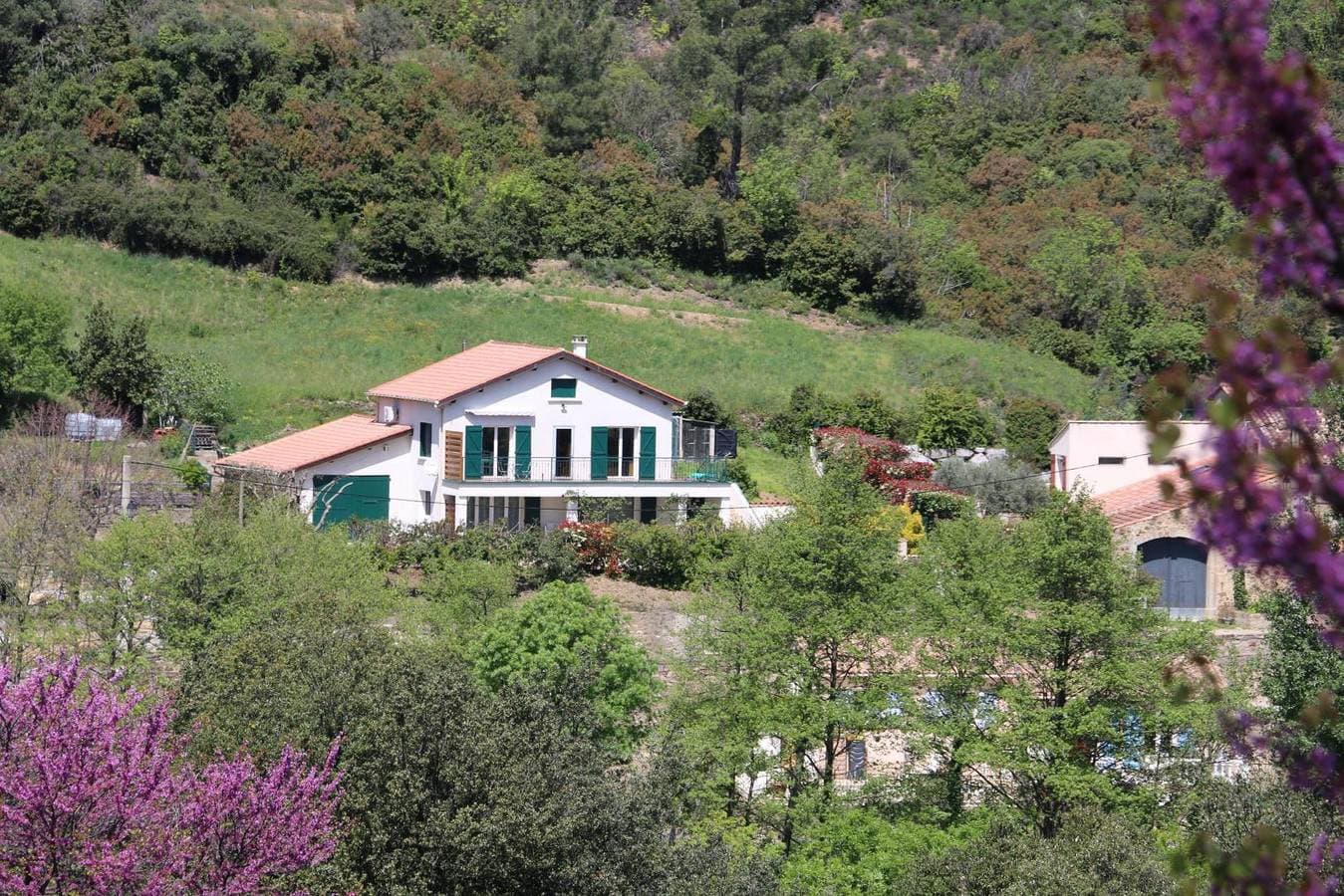 Foto 2 von 23: La Berlounaise