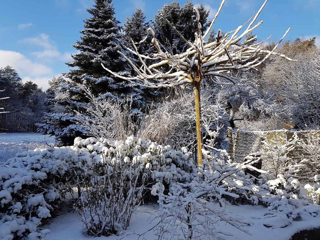 Foto 6 von 33: Ferienhaus mit Garten und eigenem Schwimmbad