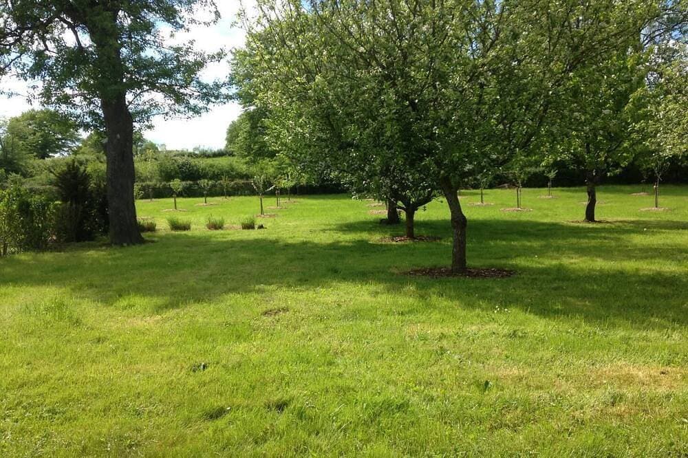 Foto 10 von 22: Pré des Verchères - Vendenesse Les Charolles