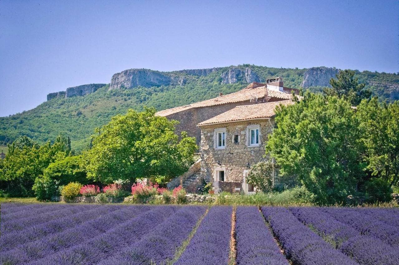 Chez Bacchus 1