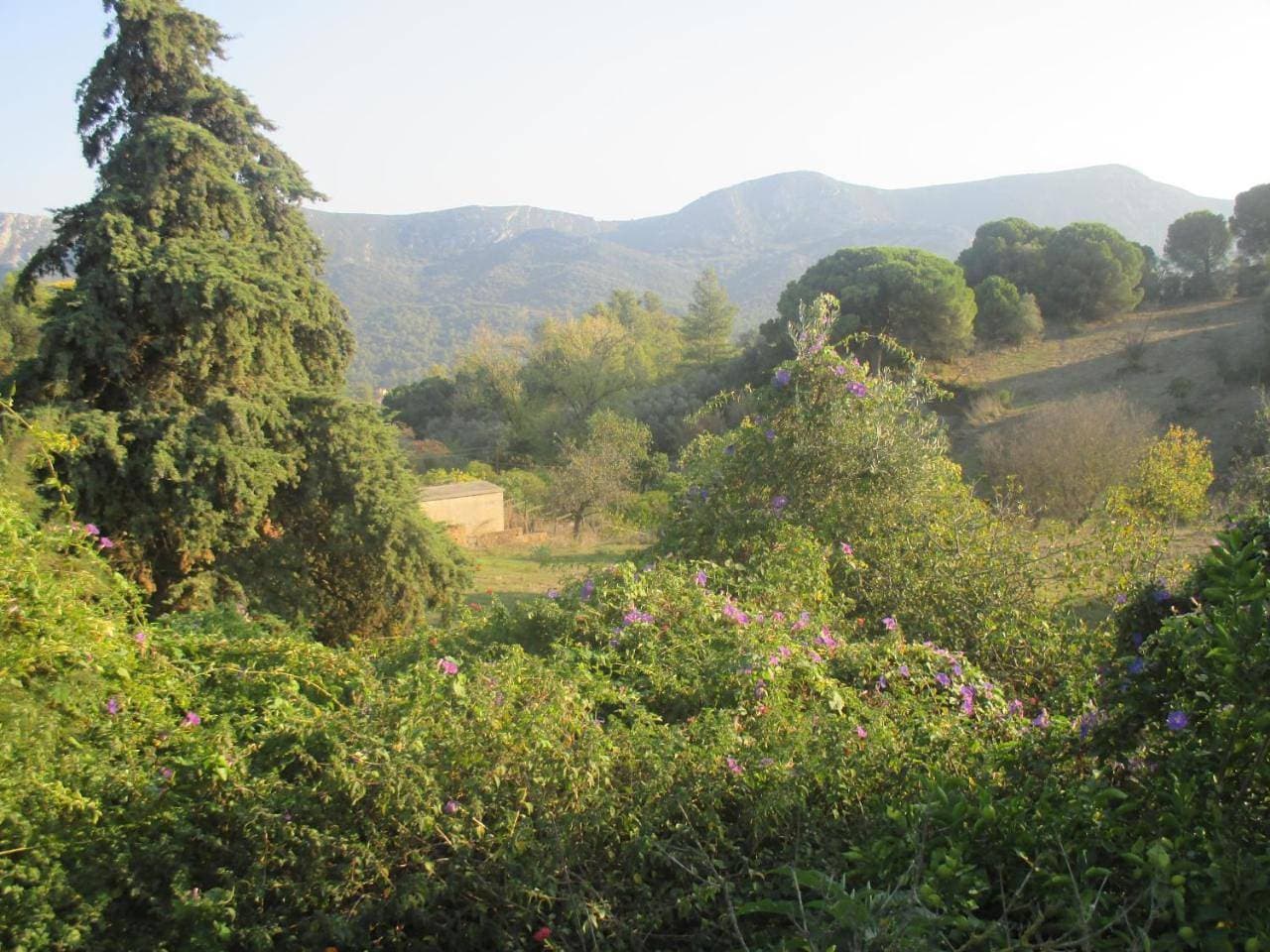 Foto 9 von 34: Holiday Home