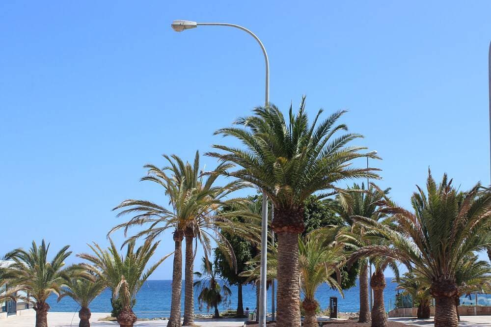Foto 7 von 30: Meerblick-Wohnung in Playa del Cura Gran Canaria