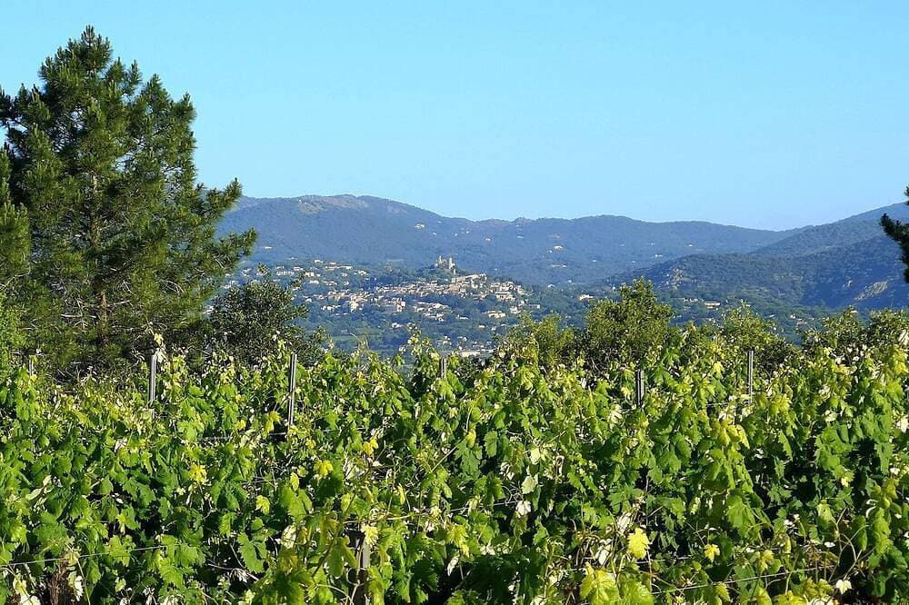 Foto 12 von 22: Haus am Golf von Saint Tropez mit Blick auf Grimaud