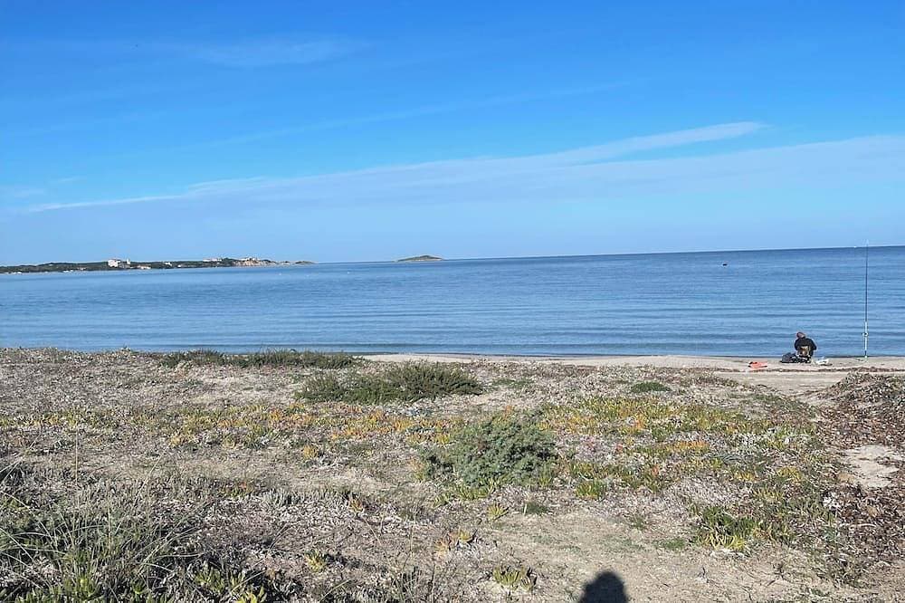 Foto 7 von 7: Pet friendly,close to wild beaches