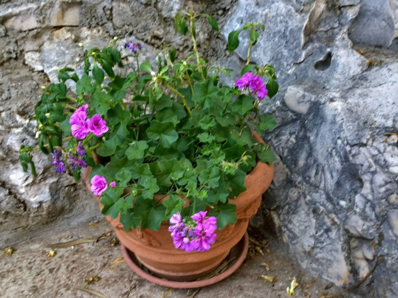Foto 11 von 44: Mit einer überdachten Terrasse