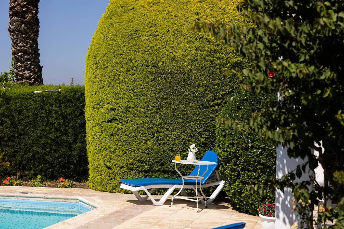 Foto 6 von 43: Lemon Grove Villa Ena