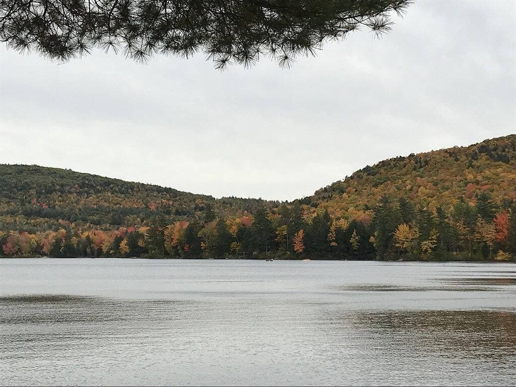 Foto 10 von 21: Einzigartige Unterkunft in der Wildnis