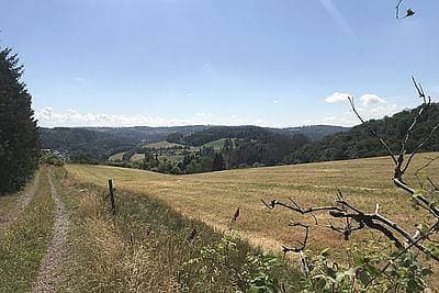 Foto 5 von 28: Schwedenhaus Waldkauz - Ferienhaus mit Kamin, max. 5 Personen