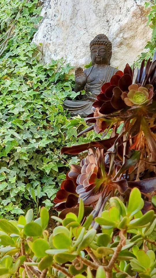 Foto 9 von 23: One-Bedroom House