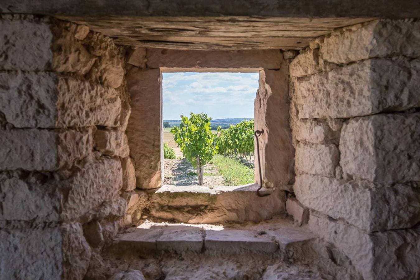 Foto 4 von 26: La Cabane du Vigneron