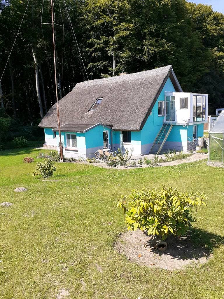FeWo unter Reet am Wald Rügen 1